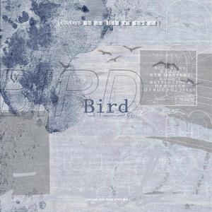 Bird（翻自 EXO）