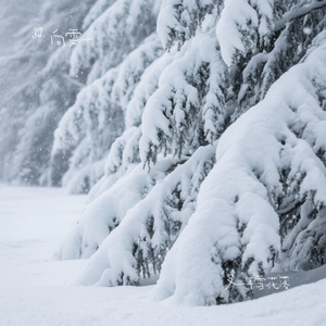 又一年雪花落