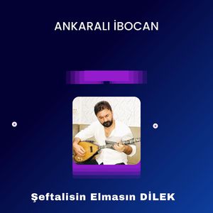 ŞEFTALİSİN ELMASIN / DİLEK
