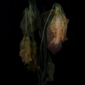 高低（Prod.by Prodby九/Aye叶师傅）