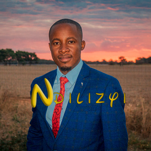 Ndilizyi