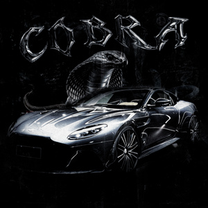 COBRA