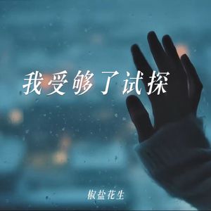 我受够了试探