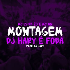 Montagem Dj Hary é Foda