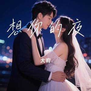想你的夜