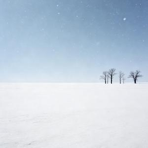 咏春（女生版）