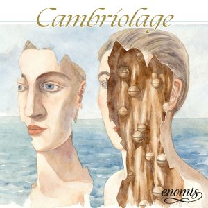 Cambriolage