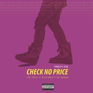 Check No Price (feat. Auxcable & XO Gemini)