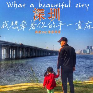 What a beautiful city 深圳