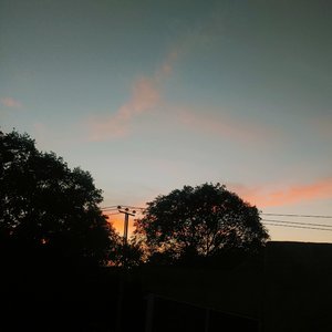 你从未离去（指弹）