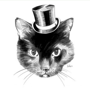 サリシノハラ（离去之原）木吉他独奏