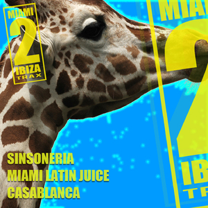 Casablanca (DJ Tool)