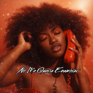 No Me Queria Enamorar