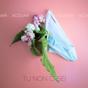 TU NON CI SEI