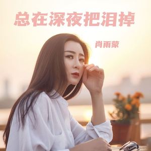 总在深夜把泪掉