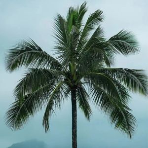 Space（沉汀 Remix）