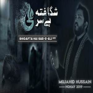 Shigafta Hai Sar e Ali
