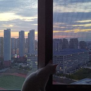 b哥-和你在一起