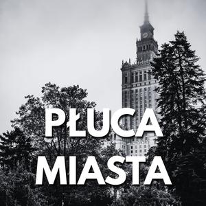 Płuca Miasta