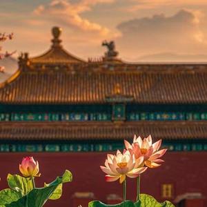 偏我来时不逢春