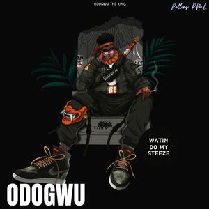 Odogwu