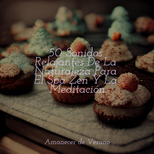 Flujo Melódico del Río