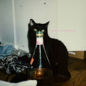 THROUGH A LENS, YOU MIGHT SEE IT ALL