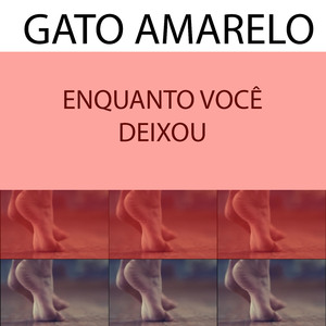 Enquanto Você Deixou