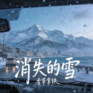 消失的雪