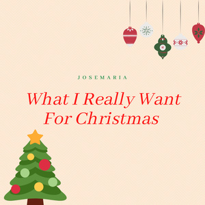 What I Really Want for Christmas