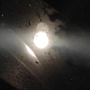 MAIKUUS (feat. HAN$)