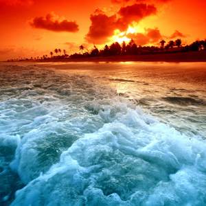 Life In Dreams (Tagget) [Instrumental]