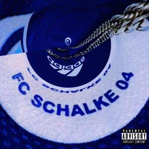 SCHALKE 04