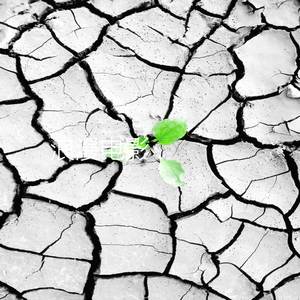 浪漫电影(伴奏)