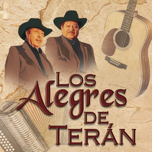 Caballo De Patas Blancas