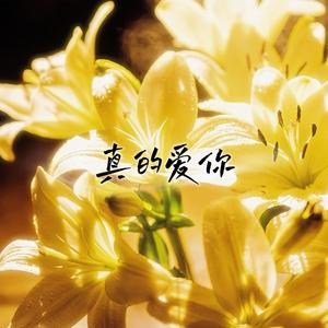真的爱你（2026版）