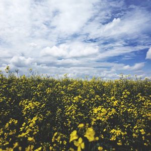 Беспорядок