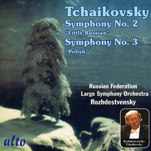 Symphony No. 3 in D Major, Op. 29, "Polish":II. Allegro moderato e semplice
