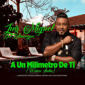 A un Milimetro de Ti (Versión Salsa)