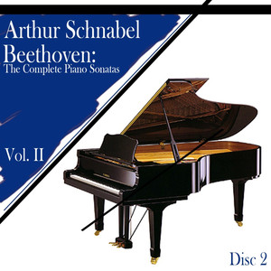 Sonata No. 11 In B-Flat, Op. 22, First Movement: Allegro con brio