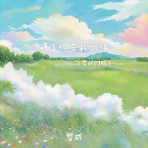 遇上你是我的缘 (伴奏)