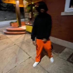 aotl!(all of the lights)