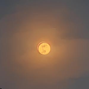 运城，永恒的旋律