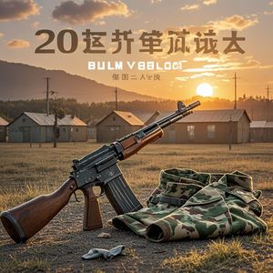 迷彩二十年