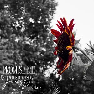 promise me (acoustic version)