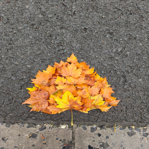 花天酒地 (现场1.1x版)