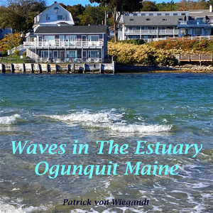 Waves in the Estuary Ogunquit Maine