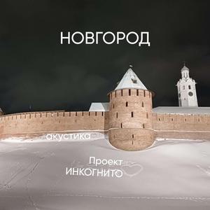 Новгород_акустика