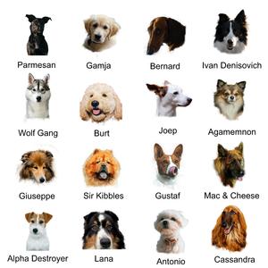 DOGS
