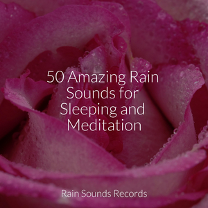 Cityscapes of Rust and Concrete